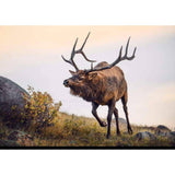 Gift Card for Hunters - Liberty Game Calls 