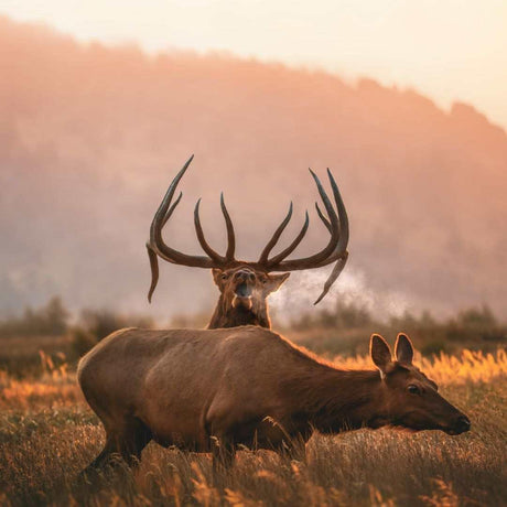 Gift Card for Hunters - Liberty Game Calls 