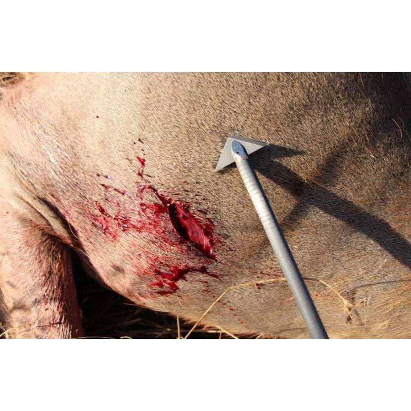 A2 Broadheads 100/125g - Liberty Game Calls 